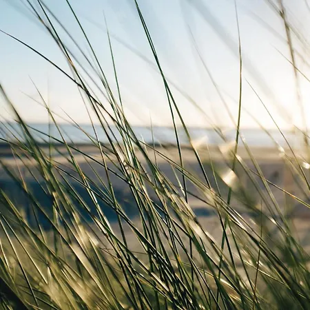 Nordstrandperle Ap S1 * Norderney